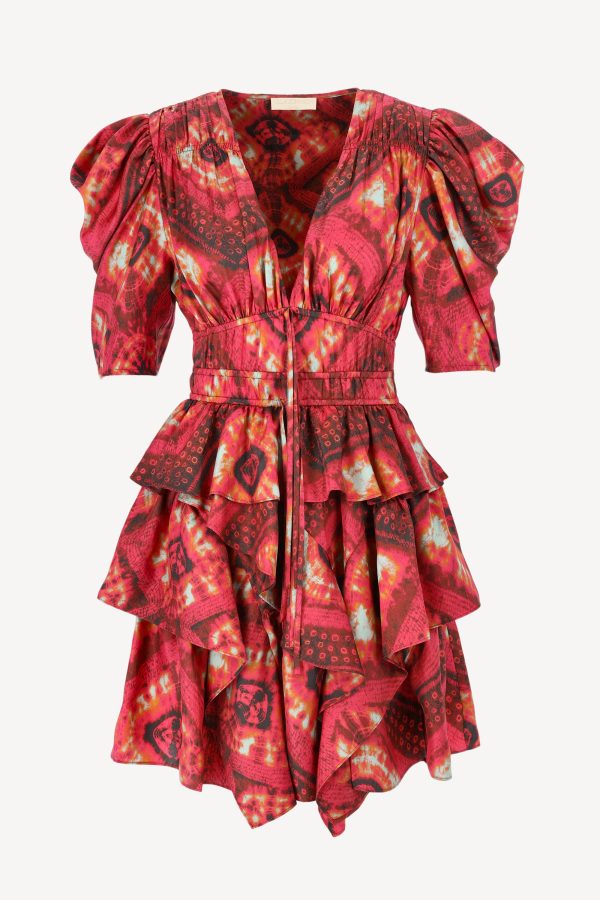 Wild rose dress